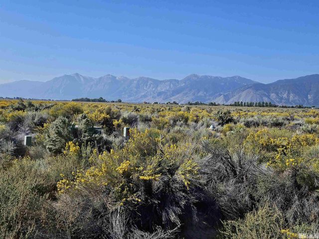 1205 Stephanie Way 57, Minden, NV 89423