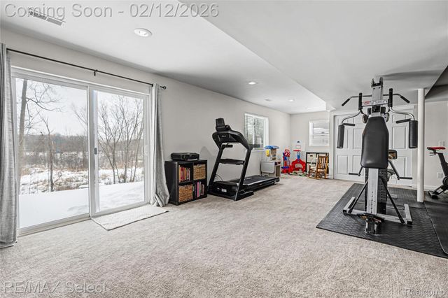 10311 Walnut Shores Drive, Tyrone Township, MI 48430