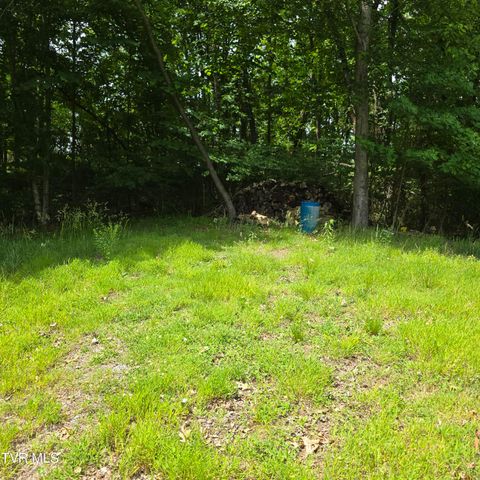 744 Ridge Drive, Piney Flats, TN 37686
