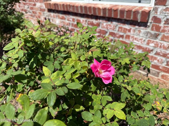 1003 Charmant Place, Ridgeland, MS 39157