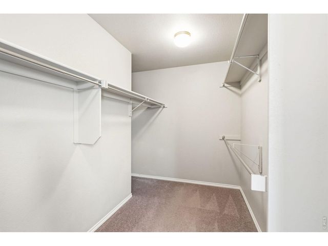 427 Houghton Ct, Fort Collins, CO 80524