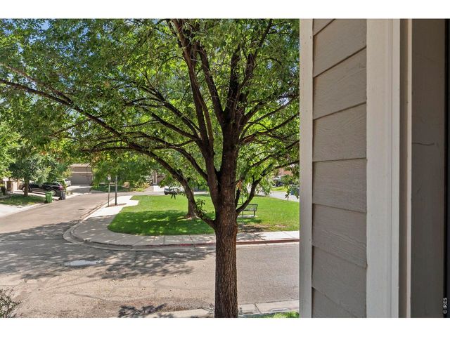 427 Houghton Ct, Fort Collins, CO 80524