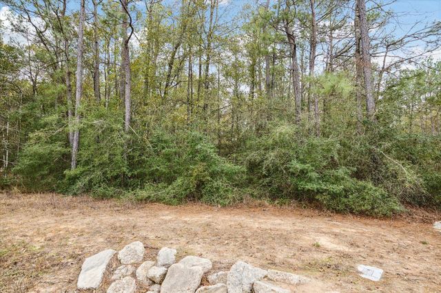 0 Bronco Lane, Waller, TX 77484