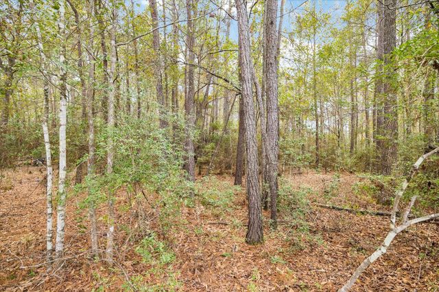 0 Bronco Lane, Waller, TX 77484