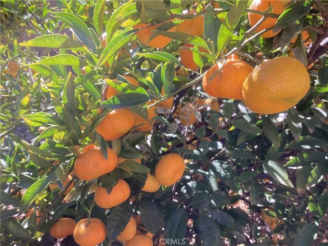 17147 Vintage, Northridge, CA 91325