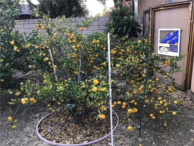 17147 Vintage, Northridge, CA 91325