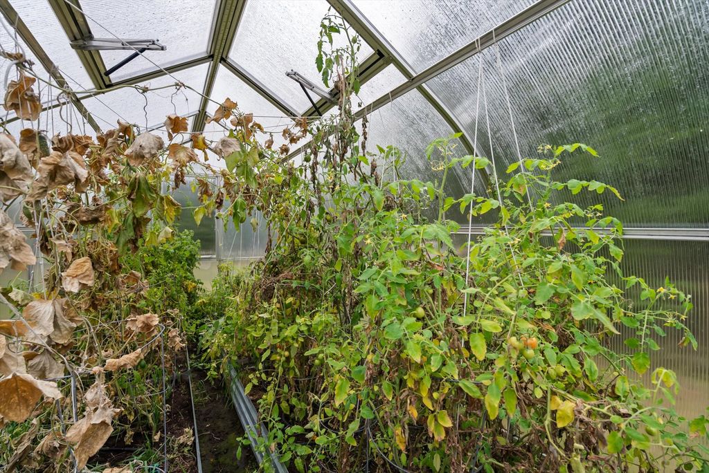 3740 Foothill Road, Kalispell, MT 59901 photo 29