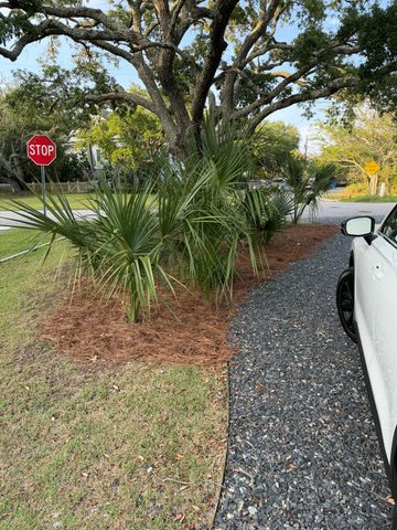 10 William Street, Mount Pleasant, SC 29464