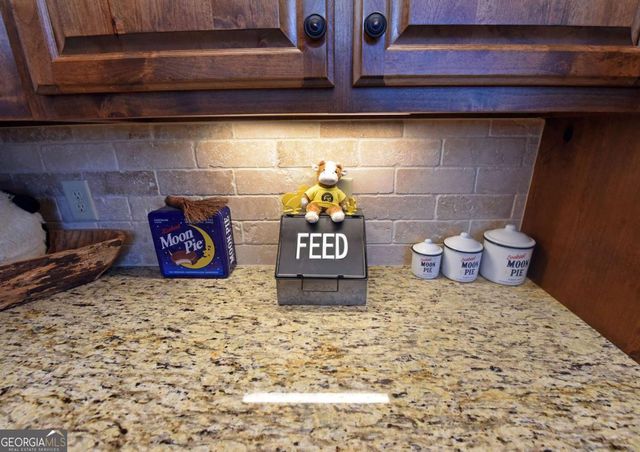 731 Native Trail, Blue Ridge, GA 30513