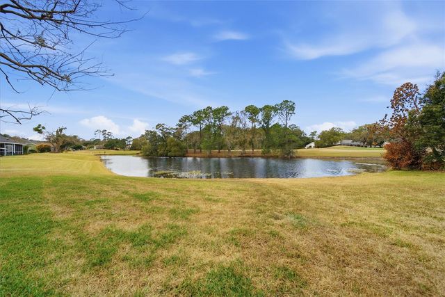 1841 PARK FOREST BOULEVARD, Mount Dora, FL 32757