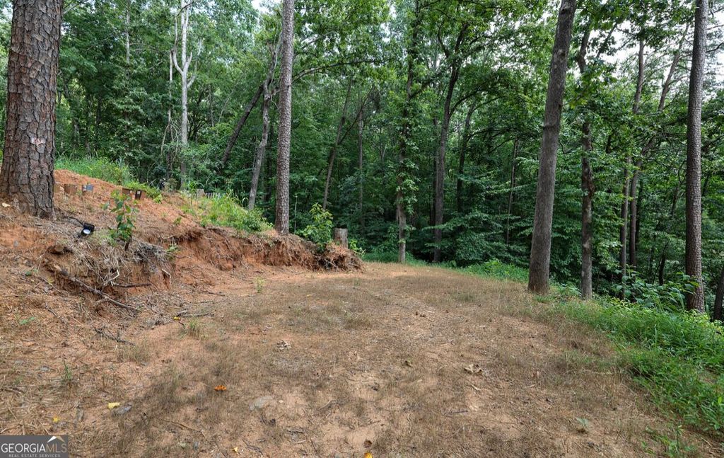 0 Cardinal Lane, Toccoa, GA 30577 — photo 4