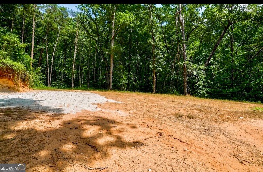 0 Cardinal Lane, Toccoa, GA 30577 — photo 5