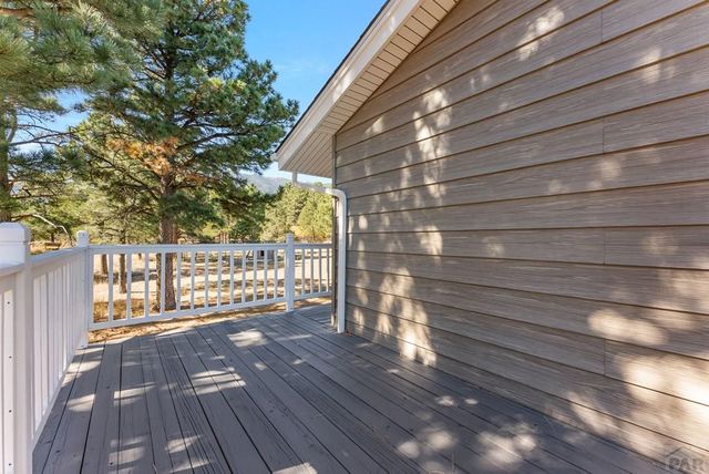 8068 Elna, Rye, CO 81069