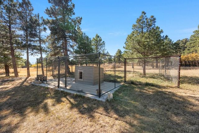 8068 Elna, Rye, CO 81069