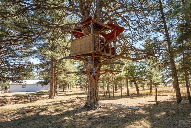 8068 Elna, Rye, CO 81069