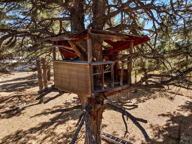 8068 Elna, Rye, CO 81069