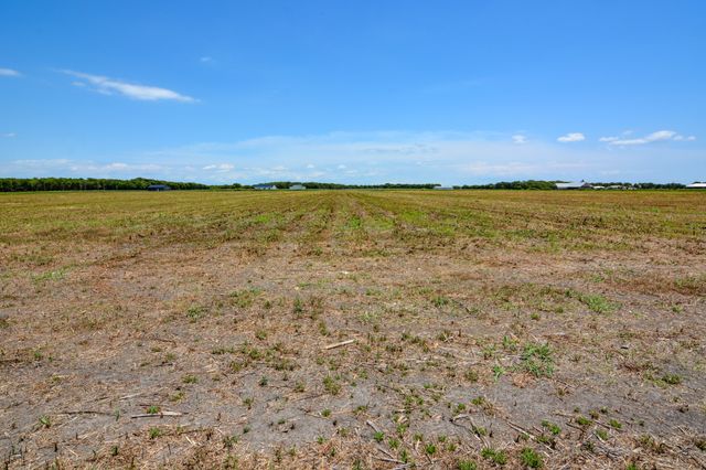 9125 County Road 101A, Grandview, TX 76050