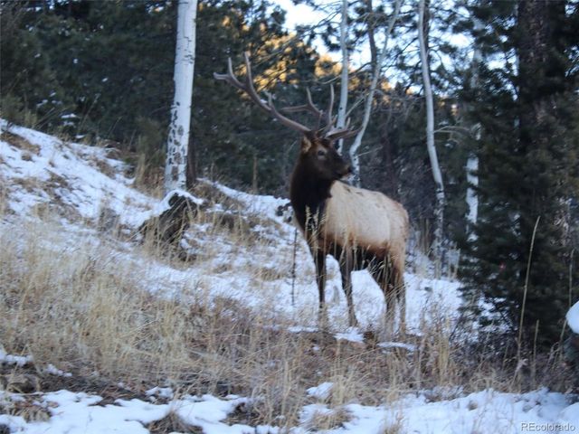 280 Meadow Ln, Evergreen, CO 80439