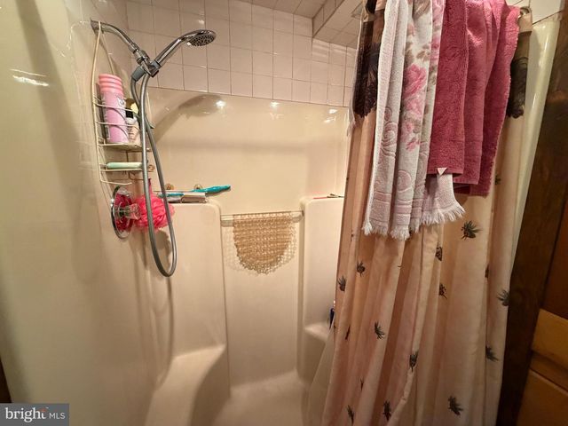 954 RUSTY LN, Mathias, WV 26812