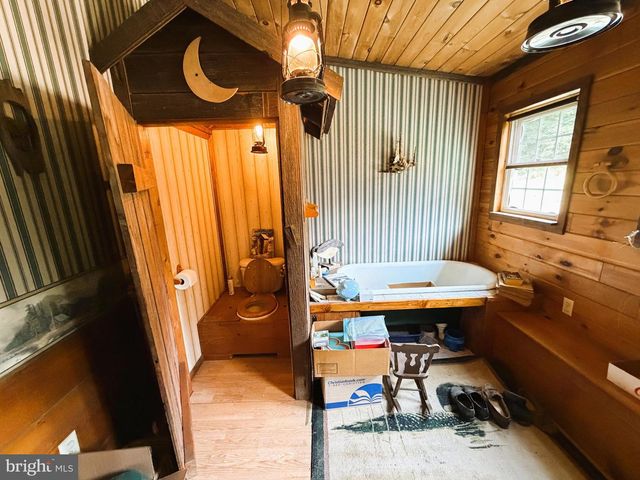 954 RUSTY LN, Mathias, WV 26812