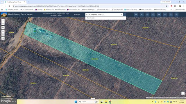 954 RUSTY LN, Mathias, WV 26812