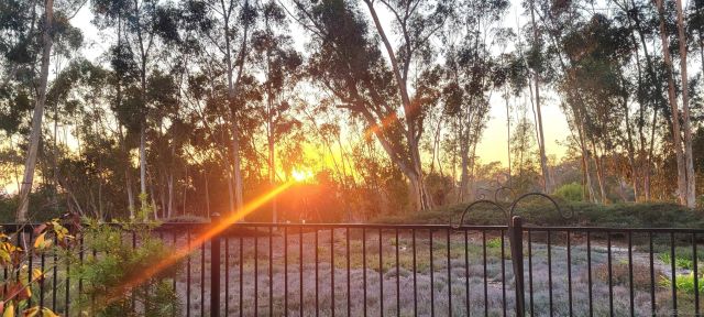 10878 Caminito Colorado, San Diego, CA 92131