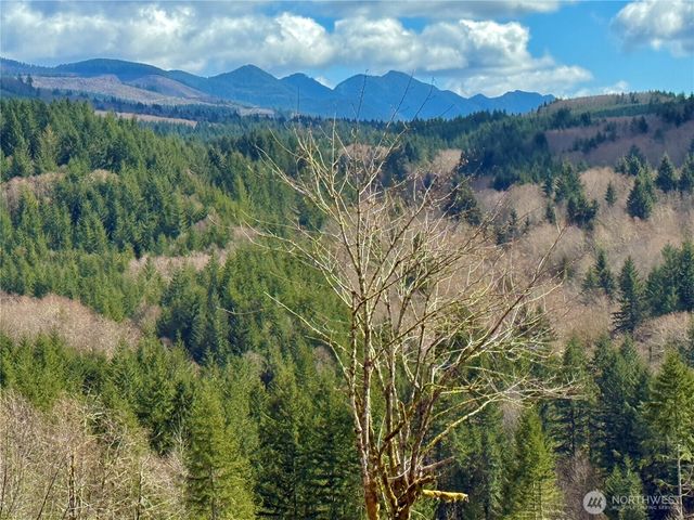 418 August Road, Onalaska, WA 98570