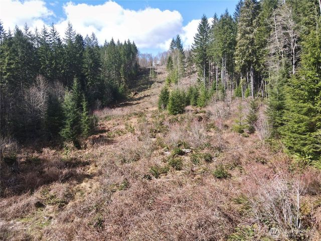 418 August Road, Onalaska, WA 98570