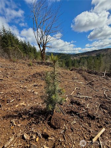 418 August Road, Onalaska, WA 98570