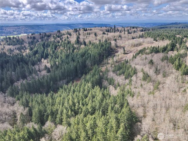 418 August Road, Onalaska, WA 98570