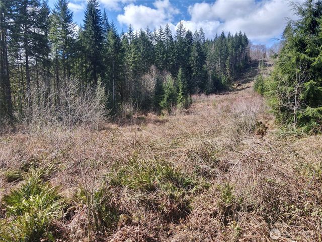 418 August Road, Onalaska, WA 98570