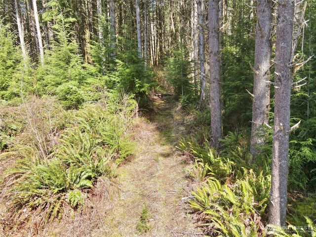 418 August Road, Onalaska, WA 98570