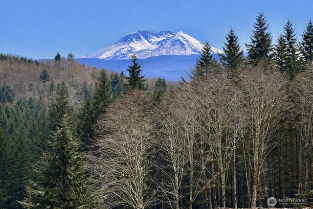 418 August Road, Onalaska, WA 98570