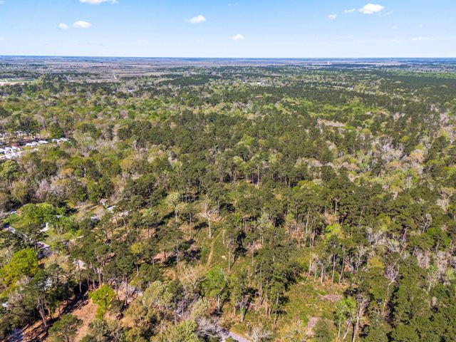 0 Jamison Street, Dayton, TX 77535