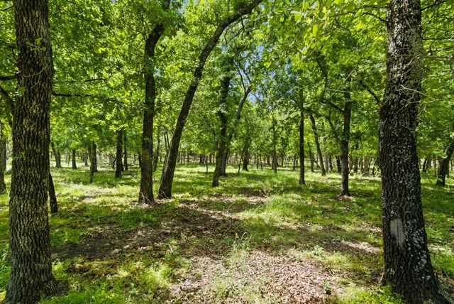 148 Arista Trail, Poolville, TX 76487