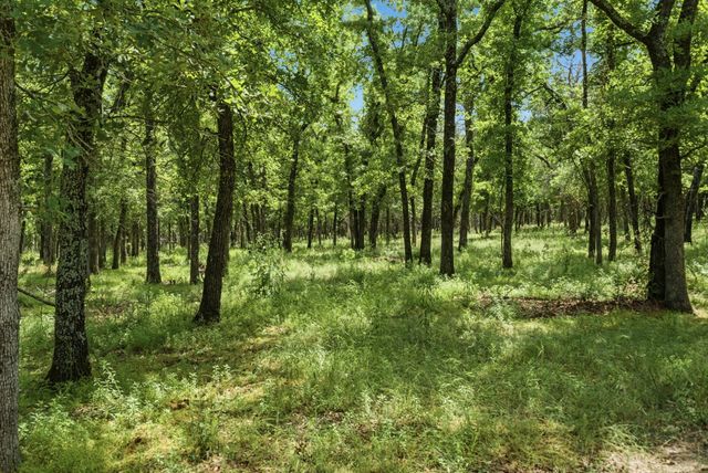148 Arista Trail, Poolville, TX 76487