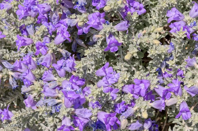 7224 N LAKESIDE Lane, Paradise Valley, AZ 85253