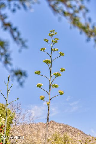 7224 N LAKESIDE Lane, Paradise Valley, AZ 85253