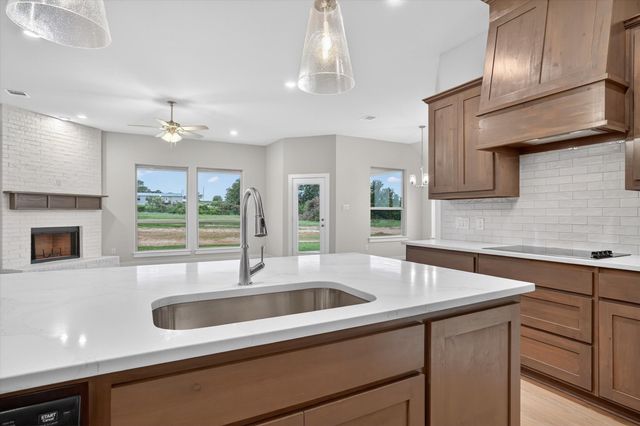 321 Skeen Peak, Springtown, TX 76082