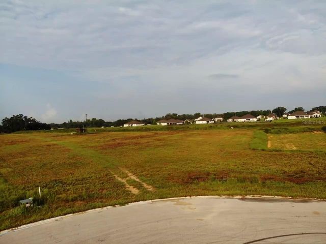 10016 WHITE EGRET DRIVE, Thonotosassa, FL 33592