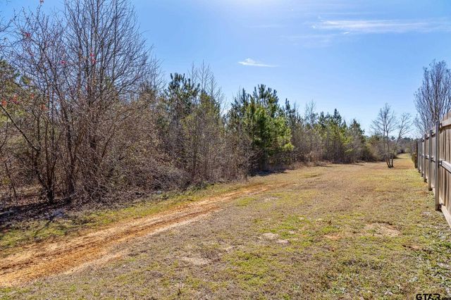 1820 Topaz Cove, Whitehouse, TX 75791