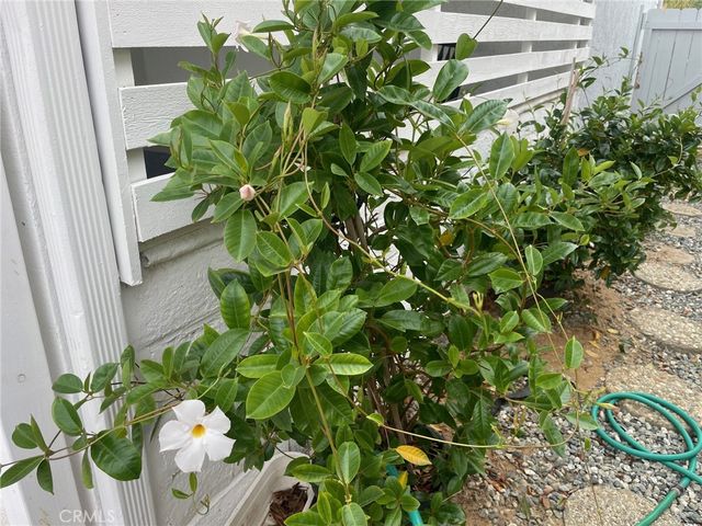 26592 Farrell St, Menifee, CA 92586