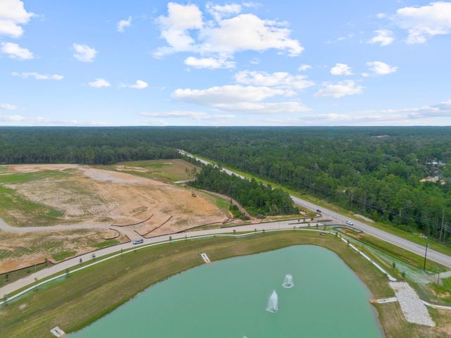 24239 Dewey Trail, Magnolia, TX 77355