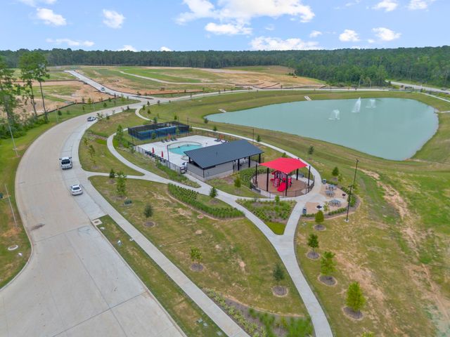 24239 Dewey Trail, Magnolia, TX 77355