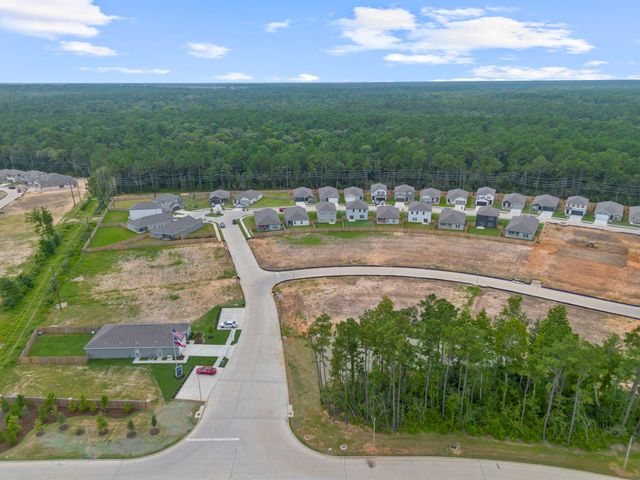 24239 Dewey Trail, Magnolia, TX 77355