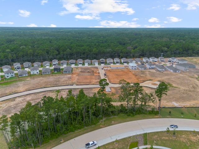 24239 Dewey Trail, Magnolia, TX 77355