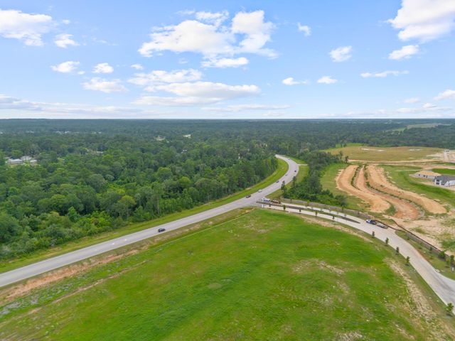 24239 Dewey Trail, Magnolia, TX 77355
