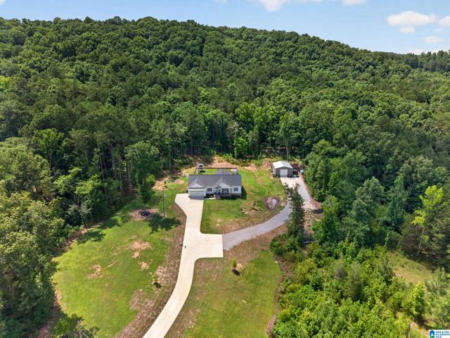 1604 OLD BROADWELL MILL ROAD, Jacksonville, AL 36265
