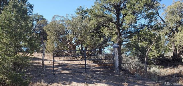 Lot 7356 Bidwell Road, Fort Garland, CO 81133