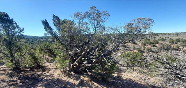 Lot 7356 Bidwell Road, Fort Garland, CO 81133